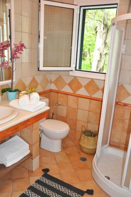 Apolpaina Villa Erietta Near Lefkas Center מראה חיצוני תמונה