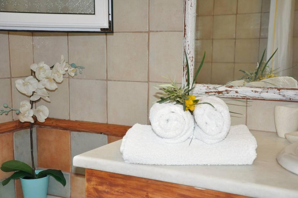 Apolpaina Villa Erietta Near Lefkas Center מראה חיצוני תמונה