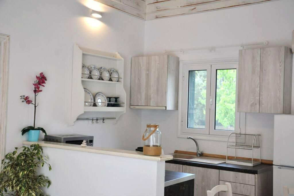 Apolpaina Villa Erietta Near Lefkas Center מראה חיצוני תמונה