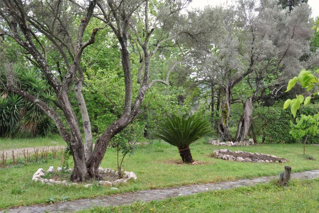 Apolpaina Villa Erietta Near Lefkas Center מראה חיצוני תמונה